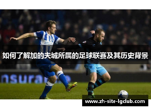 如何了解加的夫城所属的足球联赛及其历史背景