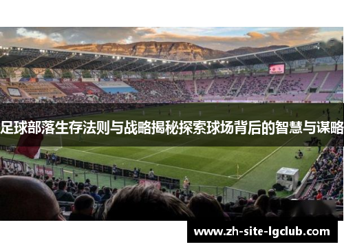 足球部落生存法则与战略揭秘探索球场背后的智慧与谋略