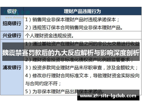 魏震禁赛罚款后的九大反应解析与影响深度剖析